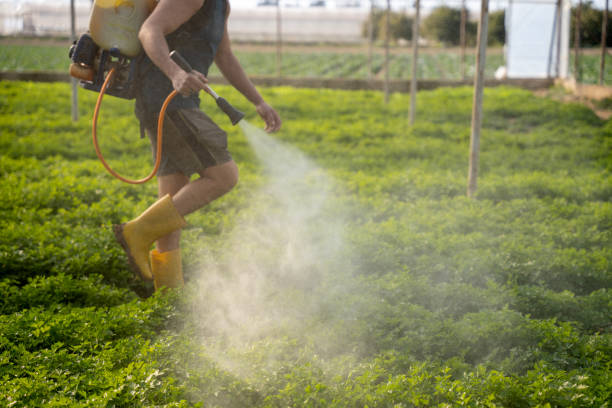 Best Residential Pest Control  in Keedysville, MD