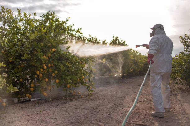 Best Bed Bug Extermination  in Keedysville, MD