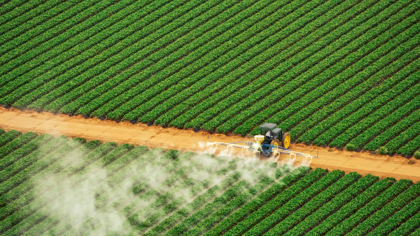 Professional Pest Control in Keedysville, MD